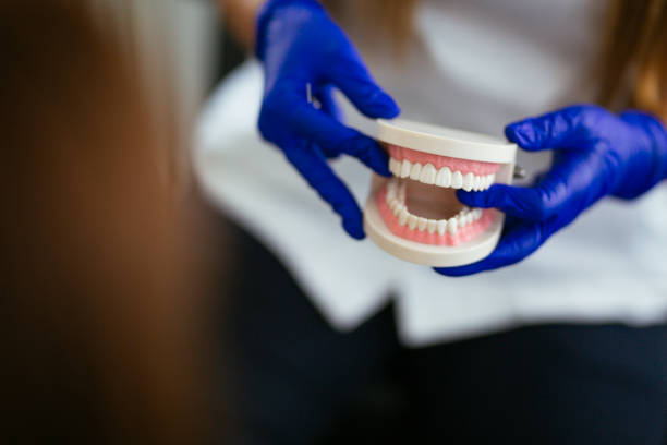 Best Dental Exams and Cleanings  in Northfield, OH